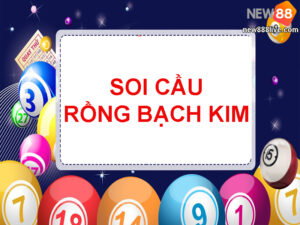new888live-soi-cau-rong-bach-kim