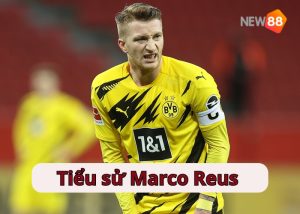 Tiểu sử cầu thủ Marco Reus